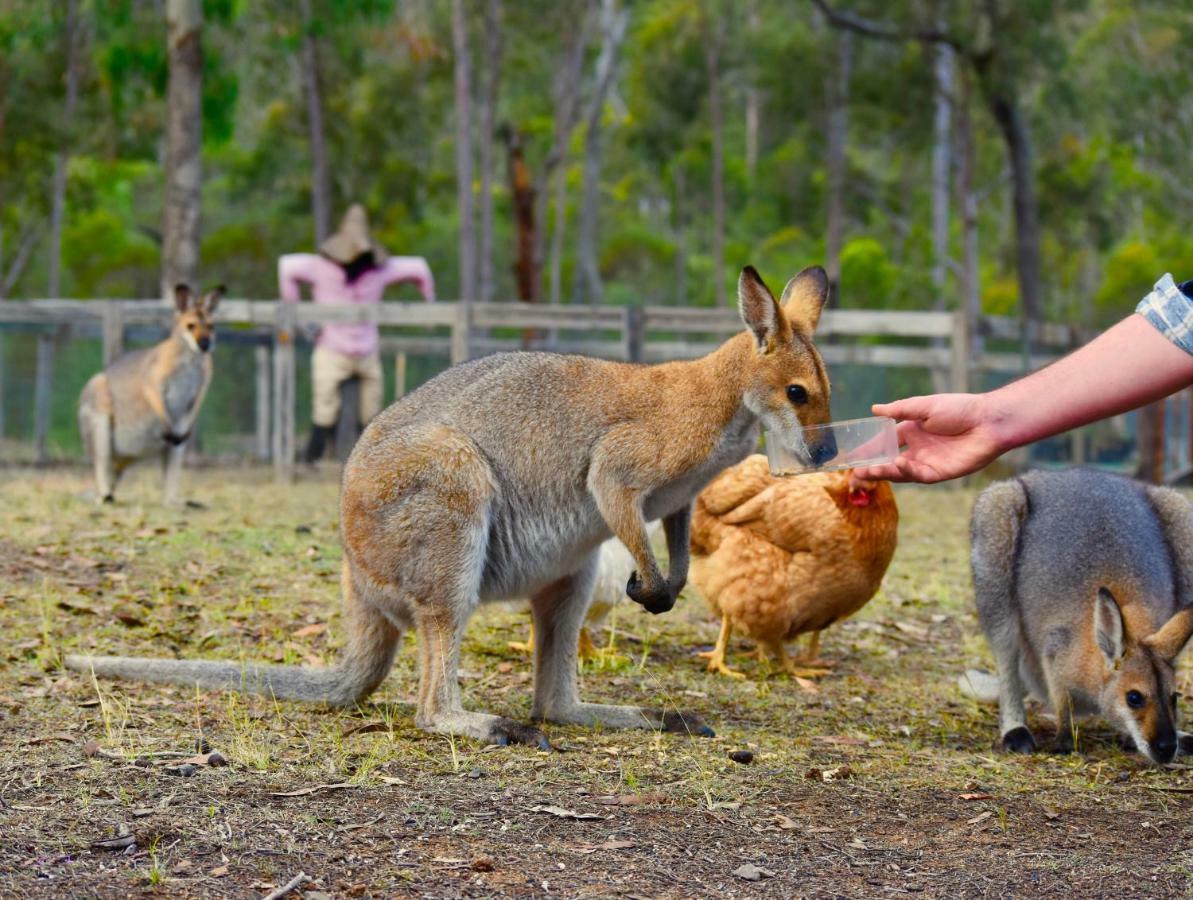 Ketchup's Bank Glamping Lodge *